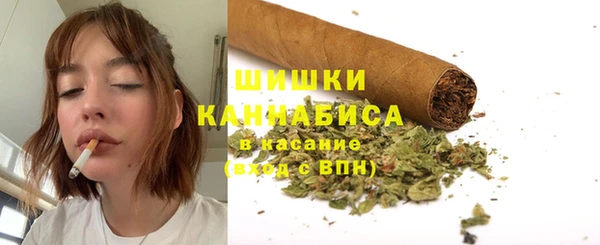 бошки Козельск