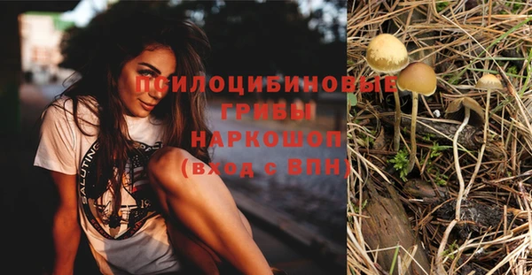 бошки Козельск