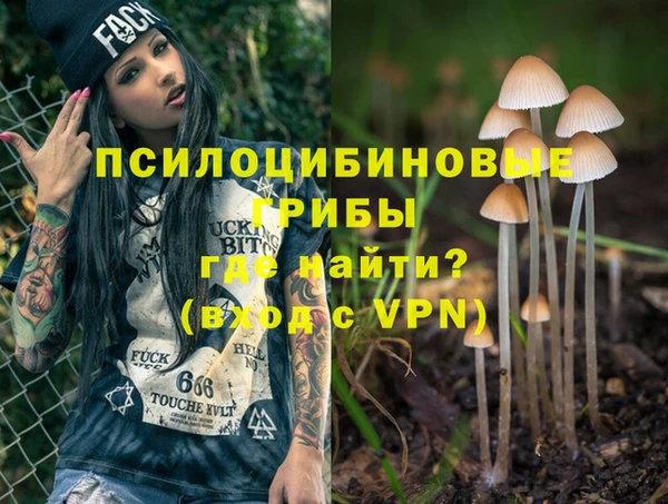 спайс Кодинск